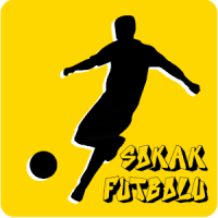 Sokak Futbolu 3D