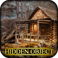 Hidden Object