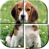 Dog Puzzle Games Free