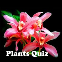 Plants Quiz - for botanists