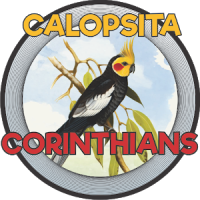 CALOPSITA - COR