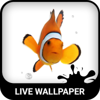Clown Fish Live Wallpaper