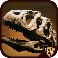 Palaeontology Dictionary - Fossil Discovery Guide