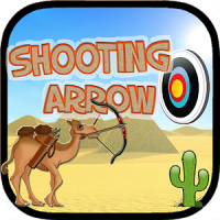 Shooting Arrow