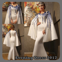 Vestido de noche 2017