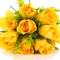 Yellow Roses Wallpapers