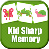 Kid Sharp Memory