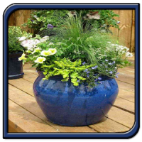 Garden Pots Design Ideas