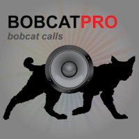Bobcat Hunting Calls UK