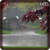 Natural Rainfall HD