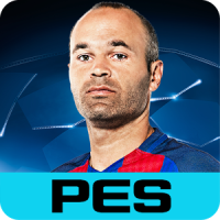 PES COLLECTION