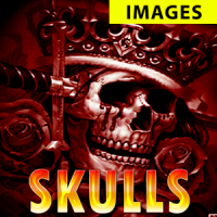 Skull images