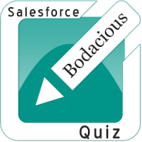 Bodacious Salesforce Quiz