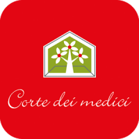 Corte dei medici