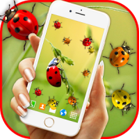 Ladybug Live Wallpaper Cute Ladybird Wallpapers