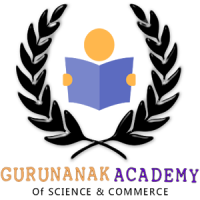 GURUNANAK ACADEMY