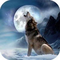 Wolf Quest Simulator game