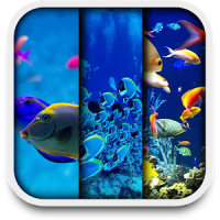 Aquarium statische wallpaper