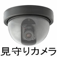 WatchmanCamera