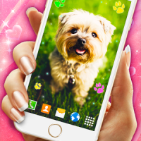 Cute Puppy Live Wallpaper Dog Paws Wallpapers