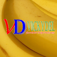 VickyDel Plantain chips biz