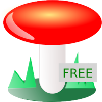 Funghi italiani FREE