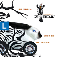 Fahrschule Zebra