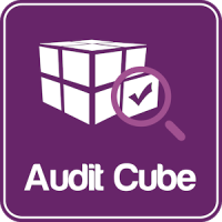 Audit Cube