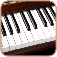 Organ Keyboard 2019