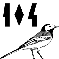104 Aves Quiz