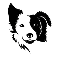 Border Collie Guide FREE App