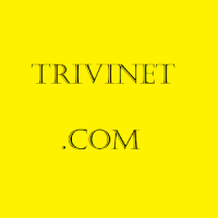 trivinet.com