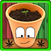 My Weed - Grow Maconha