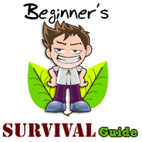 Beginners Survival Guide