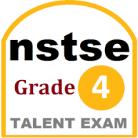 NSTSE 4 Exam