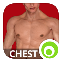 Chest Workout Lumowell