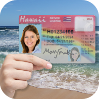 Hawaii Driver License 2020
