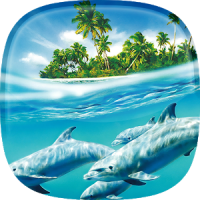 Dolphin Live Wallpaper Pictures of Dolphins