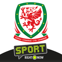 Wales Football