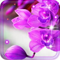 Orchid Free live wallpaper