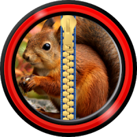 Zipper Lock Screen – Squirrel
