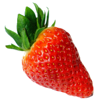 The of growing strawberries