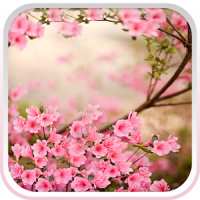 Spring Flowers Live Wallpaper