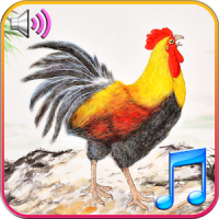 Funny Wake Up Ringtones