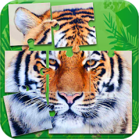 Tiger Puzzle Spiele