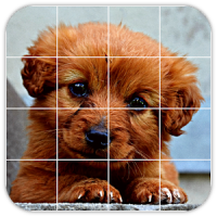 Tile Puzzles · Puppies
