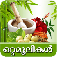 Naattuvaidyam-Ottamooli