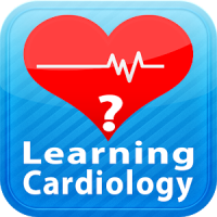 Learning Cardiology Quiz