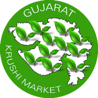 Krushi Market Gujarat