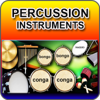 Instrumentos de Percussão.